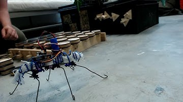 Penelopean robotics: some first tests (poodle edit)