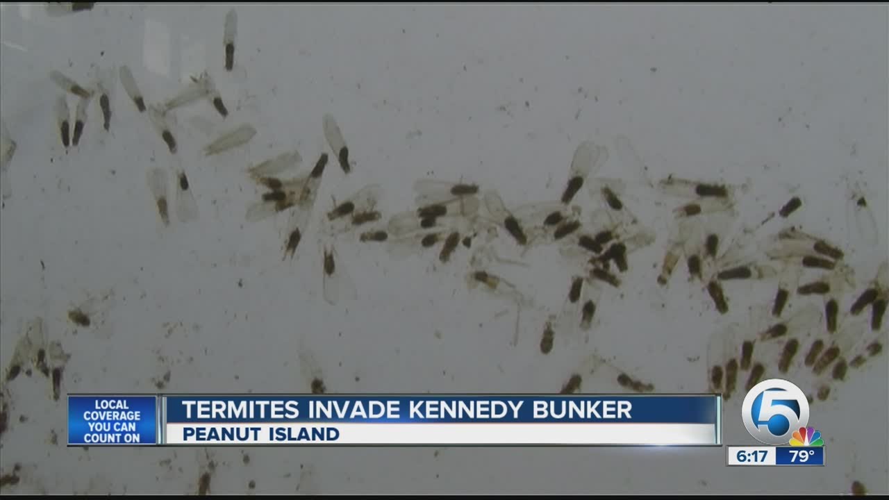 Kennedy Peanut Island bunker YouTube