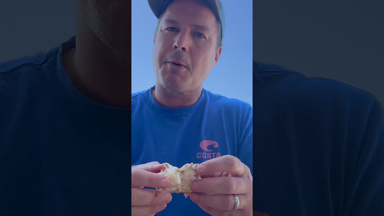 Топ-3 крабовых домиков 👀