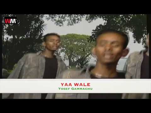 90s Music Yaa Walee by Yosef Gamachu Oromo Music