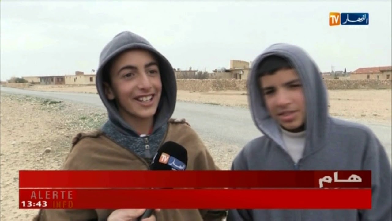 باتنة: خطر الكلاب الضارة يزداد بقرية شوعب..والسكان يطالبون بالحلول