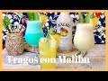 🥥Tragos con MALIBU ► 3 Cócteles con Ron de COCO