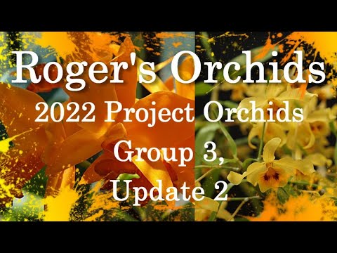 2022 Project Orchids - Group 3, Update 2