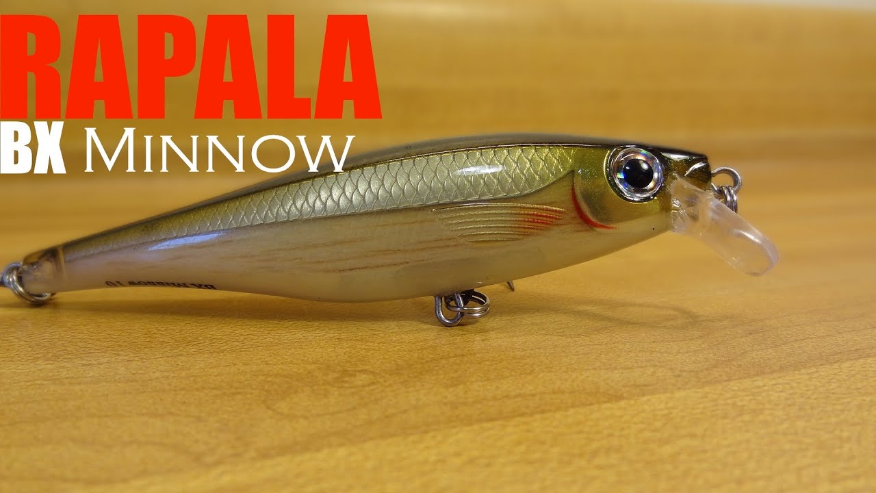 Rapala BX Minnow - The King of Lure Eye Candy 