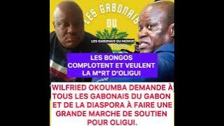 Wilfried Okoumba wants to hold a big march to support Oligui.