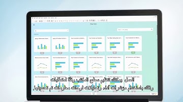 [ARAB] Dashboard analysis with SAP Business One powered by SAP HANA