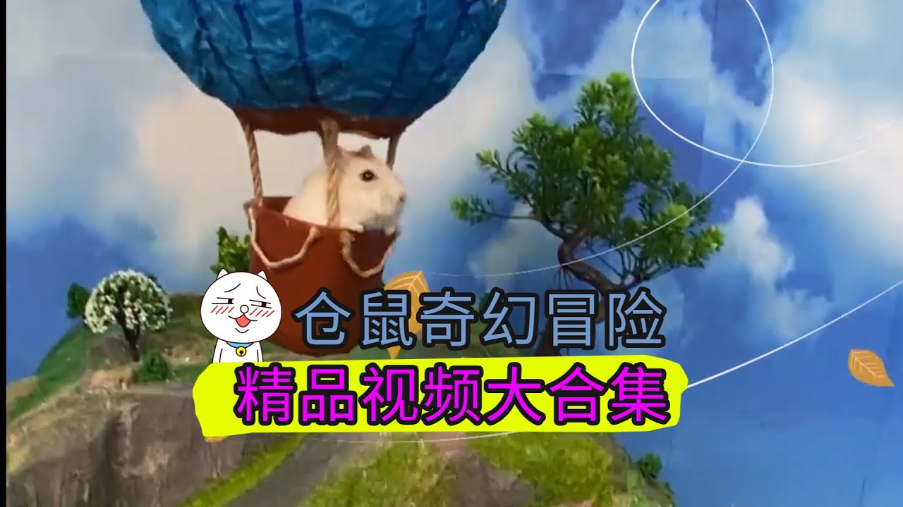 Hamster Maze Videos For Kids Hamster Maze Videos For Kids