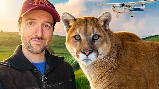 I Transported a Mountain Lion In a Tiny Two-Seater Airplane