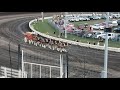 Budweiser Clydesdales at 60th Knoxville Nationals