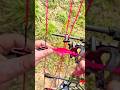 Archery ASMR *Sound up* #archery #bowandarrow #bowhunting #asmr #slowmo