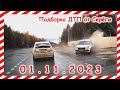 ДТП. Подборка на видеорегистратор за 01.11.2023 ноябрь 2023