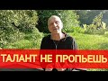 Талант не пропьешь - Котовский. Анекдот