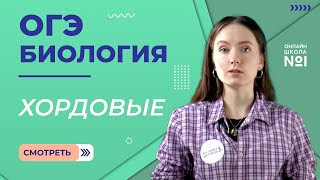 Тип Хордовые. Биология ОГЭ