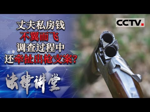 《法律讲堂(生活版)》丈夫私房钱不翼而飞 调查过程中还牵扯出枪支案？20210503 | CCTV社会与法