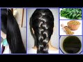 Homemade Curry Leaves Oil:How to Grow Long Thick Hair Fast With Coconut Oil & Fenugreek Seeds