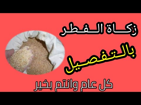 زكاة الفطر شرح مفصل عن زكاة الفطر