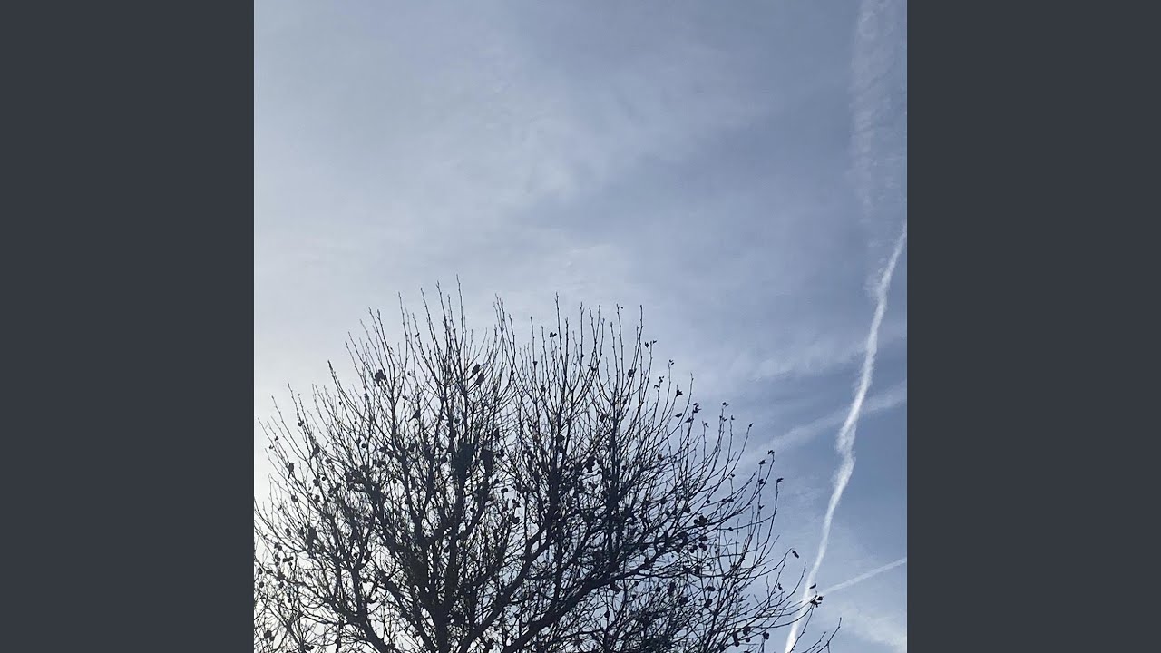 Regain Love - YouTube