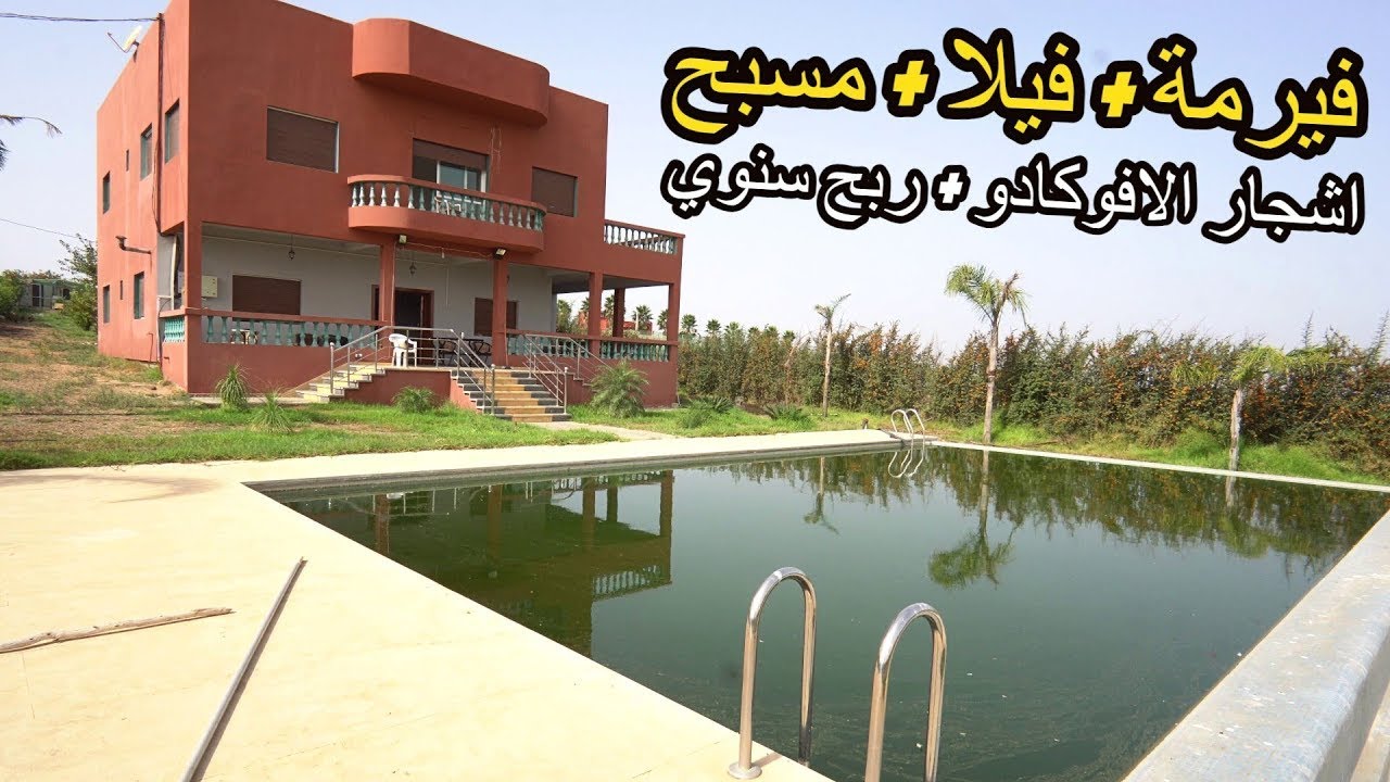 ✨ اجي وسكن وربح فيرمة بفيلا كبيرة ومسبح فخم ومداخيل كثيرة من الافوكادو المنتجة ✨ علال البحراوي