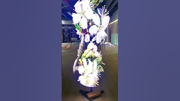 Sooo amazing for 3d fans holographic led screen display effect