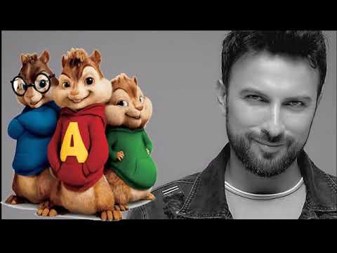 TARKAN -YOLLA