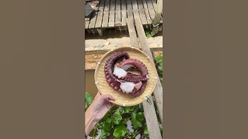 Bạch tuộc nướng sa tế #xuhuong #bachtuoc #xuannhuphan