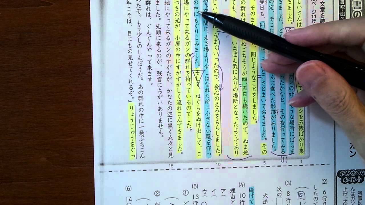 小5国語 大造じいさんとガン P 56 57 Youtube