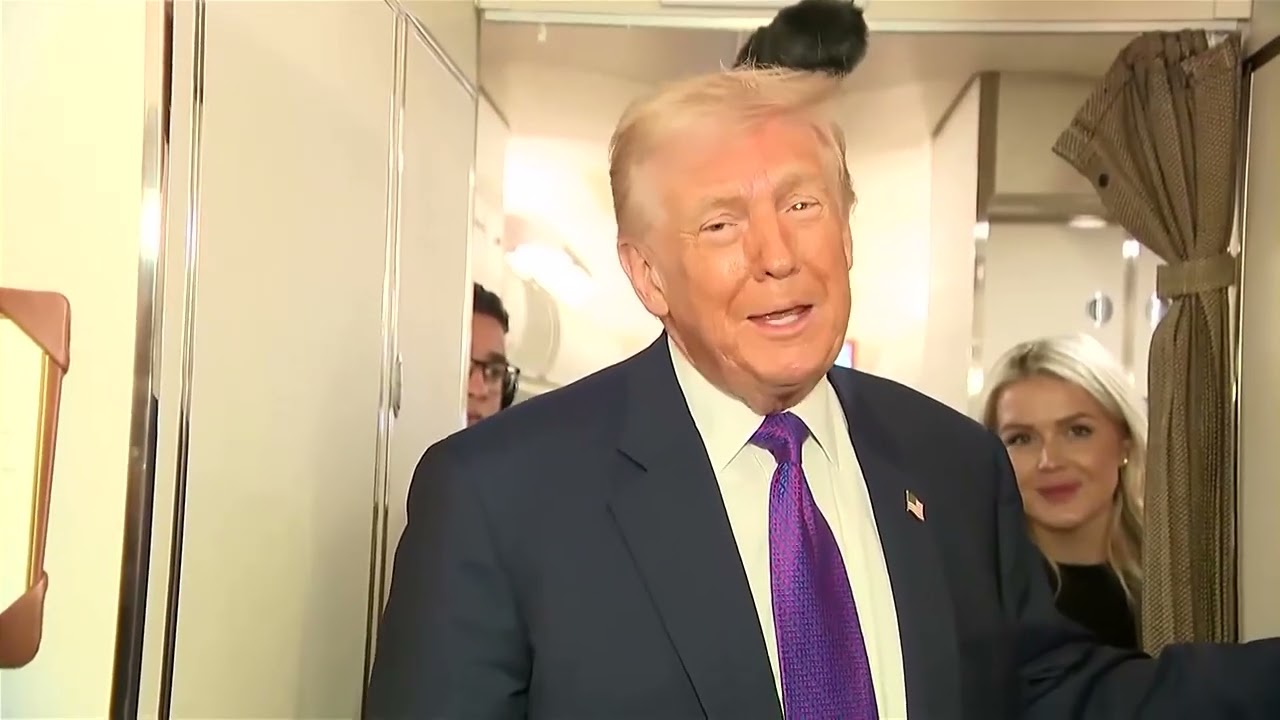 Trump claims Obama disclosed classified information on aliens