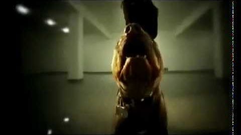 Rippi yes arajin em HQ 2010 -.flv