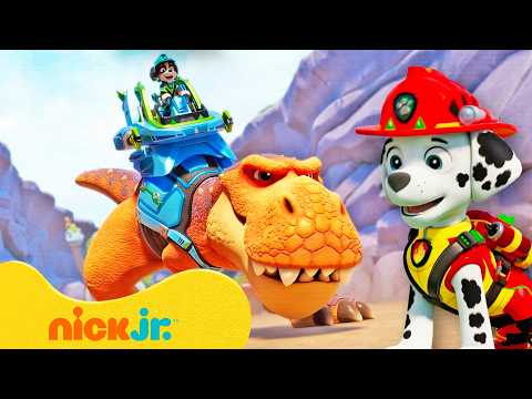 Rubble y Equipo | 90 minutos de *NUEVAS* aventuras de dinosaurios de PAW Patrol 🦖🐾 | Nick Jr.