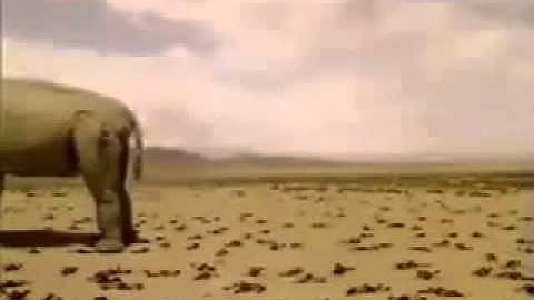 ỐNG CỐNG BÊ TÔNG, TUYNEL KỸ THUẬT, CỐNG HỘP, Sông ĐÁY, Hotine 0988709729