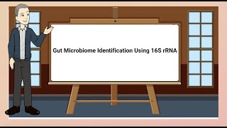 Gut Microbiome Identification Using 16S rRNA