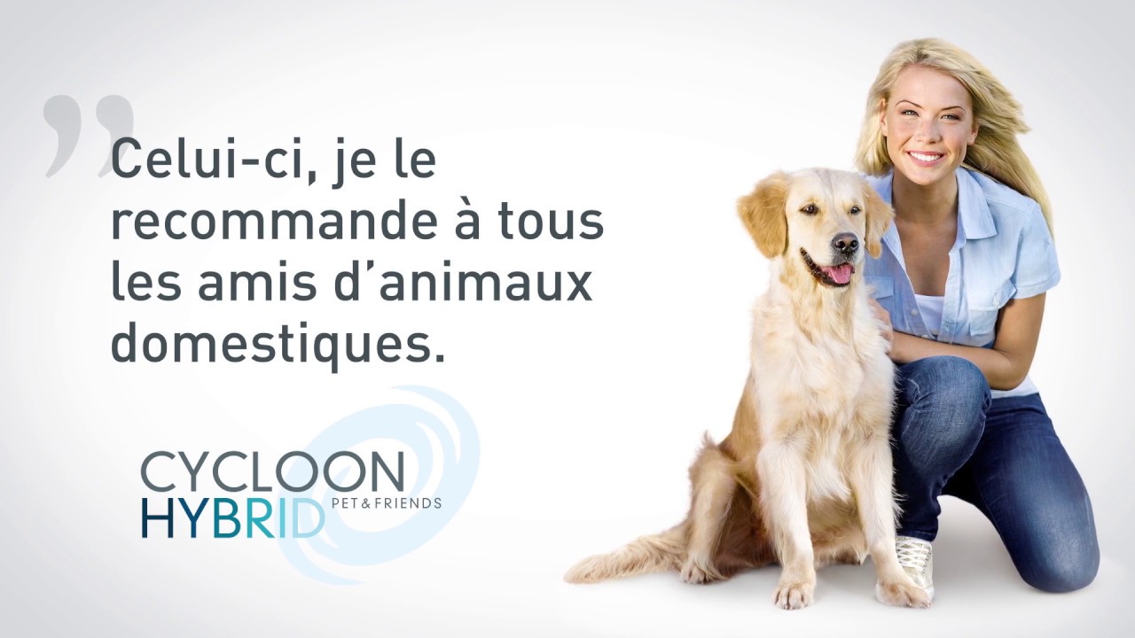 Kit De 5 Filtres De Rechange Pour Aspirateur Thomas Cycloon Hybrid Perfect Air Et Pet & Friends