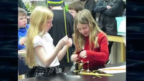 Wave Robotics Chairman