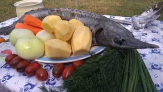 Уха по-царски из стерляди (осётр) в казане Уха по-царски из стерляди (осётр) в казане