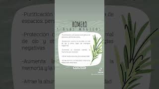 Usos mágicos del Romero 🍃