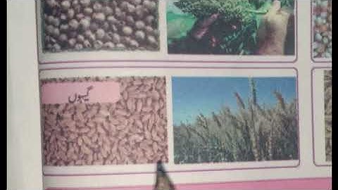 EVS URDU | CLASS 5 | CHAPTER 4 PART 2|FOR URDU MEDIUM TELANGANA STATE SYLLABUS