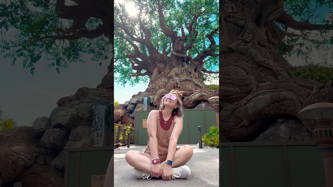 When you just need a moment with the tree of life 