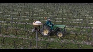 Épandage des engrais dans les vignes