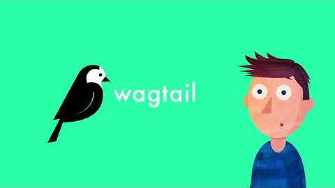 Wagtail part 3 installing wagtail annd start project