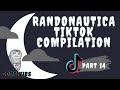 NEW UPLOAD!!! Randonautica TikTok Compilations