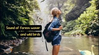 Relaksasi Suara Aliran Sungai dan Kicauan Burung | Dalam 5 Menit Akan Tertidur Pulas