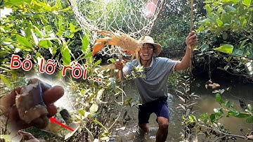 Cắm Câu Cua dính toàn Cua Bự thấy ham | GĐCG #1013