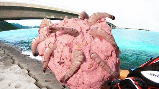 ブラックタイガー団子を橋下の巨大水路に投下する【大きい魚を釣りたい#1】