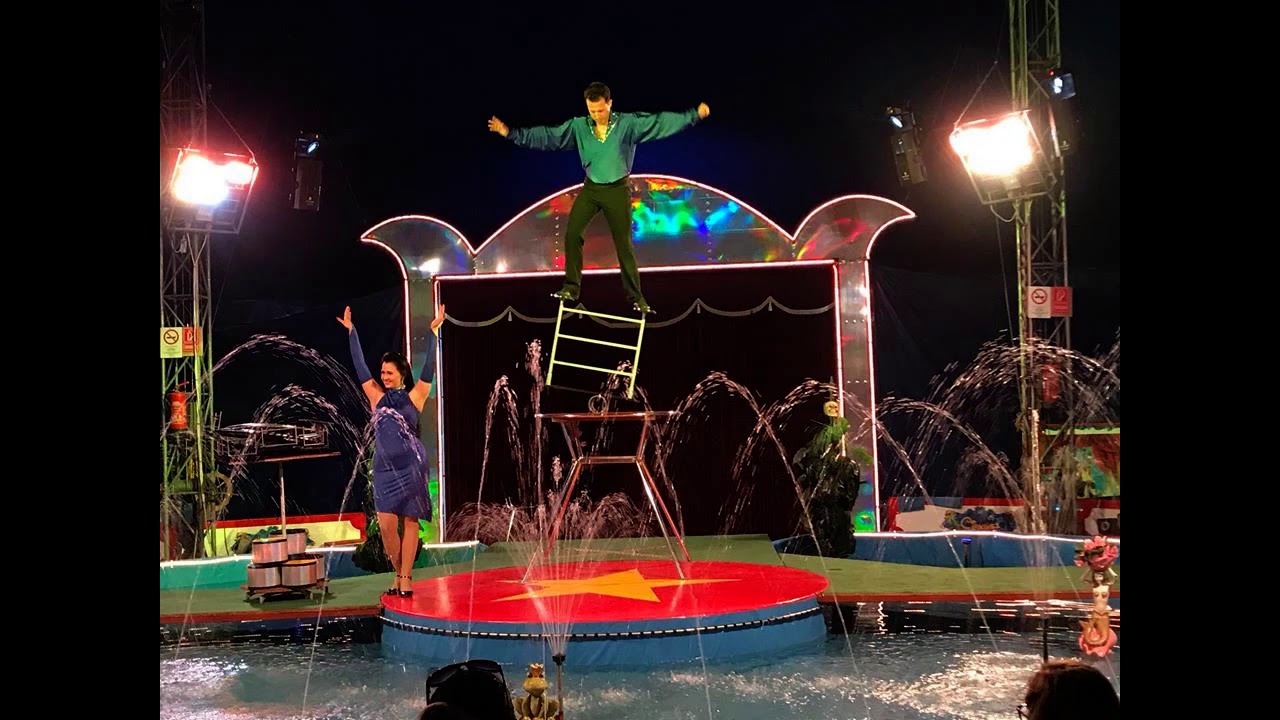 2018 Cirkuszok fotó válogatás