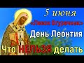 5 июня Левон Огуречник. Что нельзя делать. Народный праздник Левон Огуречник. Традиции и приметы