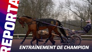 Liza Josselyn Au Nom Du Père Et Du Fils  Nicolas Bazire Se Livre En Vue Du Prix Bold Eagle Gr.1
