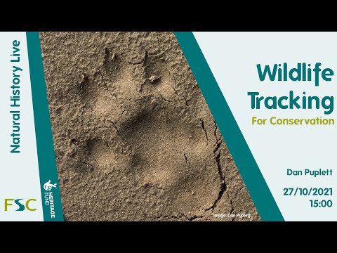 Wildlife Tracking