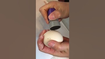 how to use egg stamp