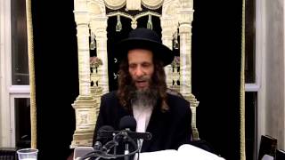 הרב עופר ארז-הכנה לפורים-הרקע הפנימי