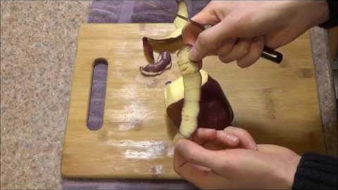 FDick Eurasia Paring Knife 3-1/2 inch